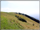 foto Col Fenilon